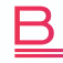 bizonym.com-logo